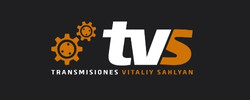 logotipo tv2017