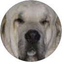 Jose Andrés A. profile picture