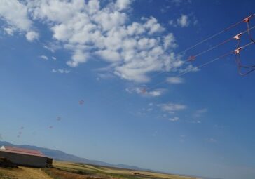 avifauna proyecto ambiental 01