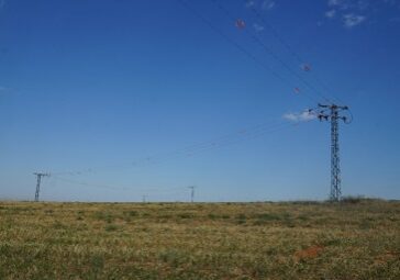 avifauna proyecto ambiental 02